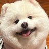 ฐตม. 🐶🐧🍀's profile picture