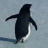 Profilbild von neo