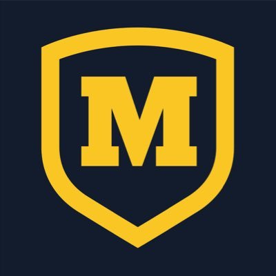 BigMoeBaseballAnalytics's profile picture