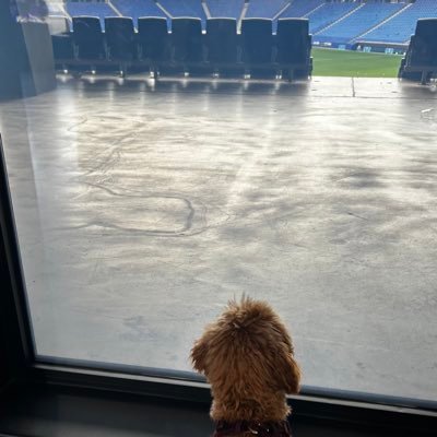 noa's profile picture