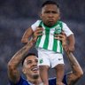 el tucu profil fotoğrafı