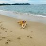 แคททารี่เป็นหมาฟันหลอ🐶's profile picture