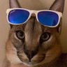 Profilbild von IsolateWave