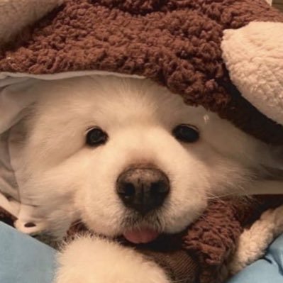 _beelamour's profile picture