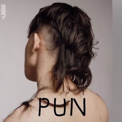 punfansofficial's profile picture