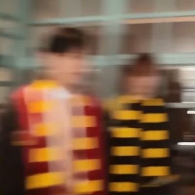 감자밭고양이's profile picture