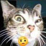 Profilbild von Landlord53