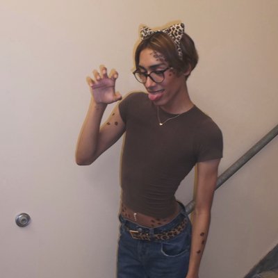 stzaluis's profile picture