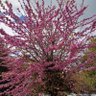 Фото профиля فاطمة