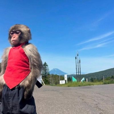 Oladimejyy's profile picture