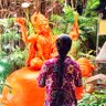 Фото профиля सोनम सिंह 🕊️