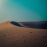 تويتات منوّعه's profile picture