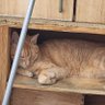 Jim's profile picture