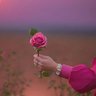 حقمل جرار🏳 profil fotoğrafı
