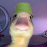 Фото профиля Ducknator