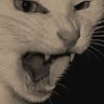 andré luiz's profile picture