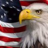 Dennis Blomquist's profile picture