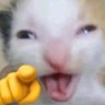 Profilbild von the..ray