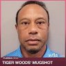 Tigers Golf Cart profil fotoğrafı