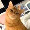 Profilbild von BoilingRage
