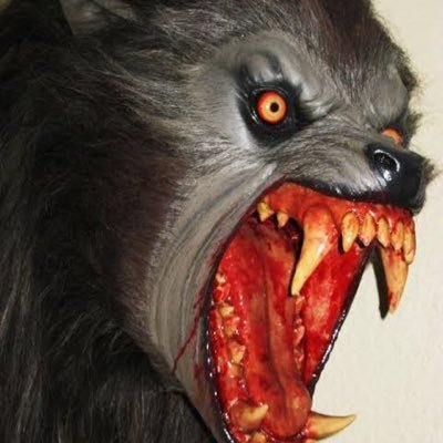 nextlevelenzo's profile picture