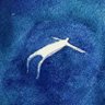 Pennyworth's profile picture