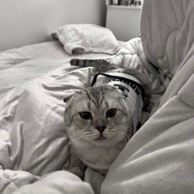 تاليا's profile picture