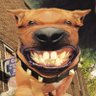 tilly profil fotoğrafı