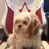 Andtares's profile picture