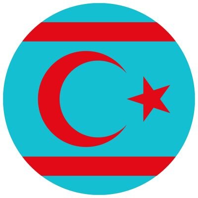 SURİYE TÜRKMENLERİ's profile picture