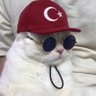 miyavck profil fotoğrafı