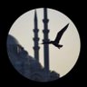 Profilbild von ابوعبدالعزيز 🇸🇦