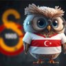 Sefil Baykuş's profile picture