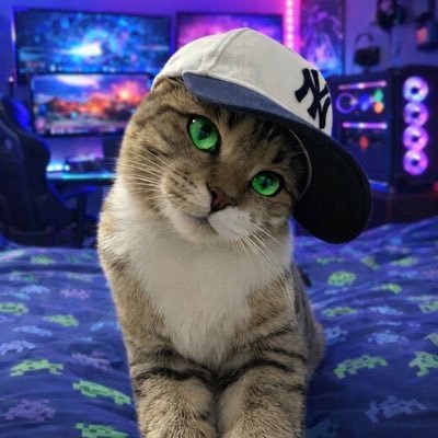 Nini 🇩🇴's profile picture