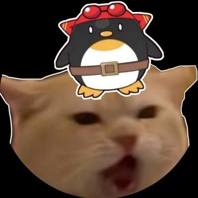 meongskia's profile picture