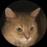 chiiko profil fotoğrafı