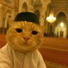 Profilbild von mohammed