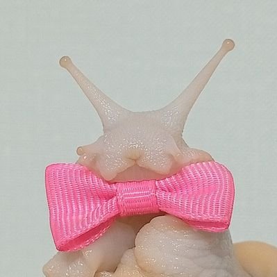 tikhondownichi's profile picture