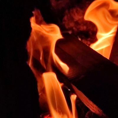 fan_chabaoguang's profile picture