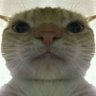 Profilbild von Super_Potato