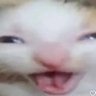 gabriela's profile picture