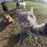 Profilbild von Mimi Kedi