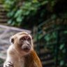 Фото профиля Ahmed