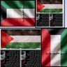 🇵🇸خلود جمال}(ام فيصل الصديقي)}🇰🇼's profile picture