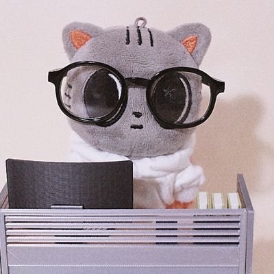 앙꼬's profile picture