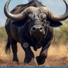 ๐TruthSeeker๐'s profile picture