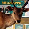 ちちちななな🦌［高速たまごやき］ profil fotoğrafı