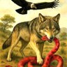 ZITICEN : " Chile volviendo a la cordura. "'s profile picture