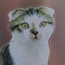すこちゃん's profile picture