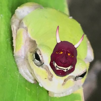 のーぶ👁🗨😈🪓のぶちゃんまん's profile picture